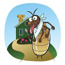 Qu'est-ce qu'une barrière chimique anti-termites avec PRO-TERMITE à Montendre à côté de Montlieu la Garde ?